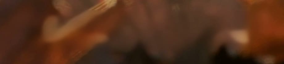Two-line caption over fallen leaves — 100% crop of the result