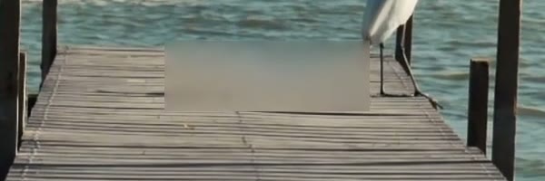 One-line caption over a wooden deck, 9:16 — 100% crop of the result